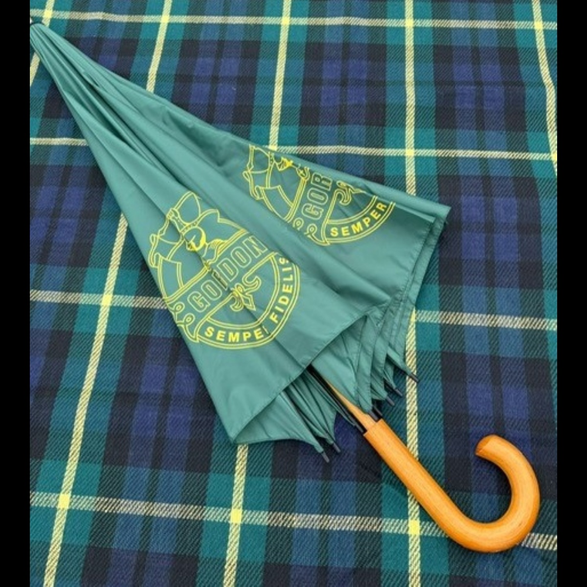 Gordon's Umbrella With Hook Handle